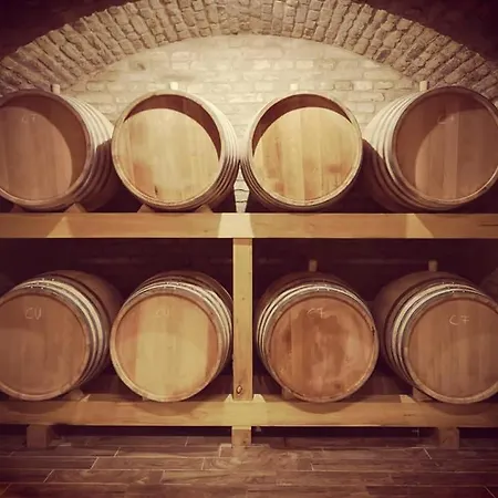 Wein&speiz Alojamento de Acomodação e Pequeno-almoço Gyorkony